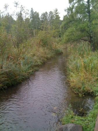 Itasca State Park-Park Rapids必去景点