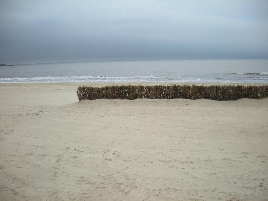 波西托斯-蒙得维的亚必去景点