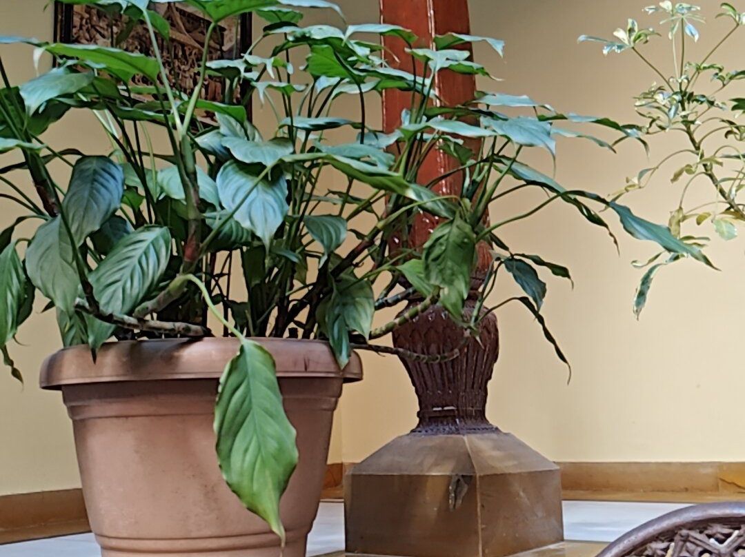Hotel Nau Nabh Heritage主图