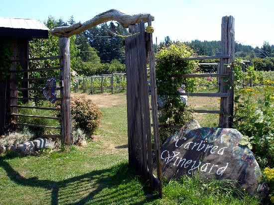 Carbrea Winery景点图片