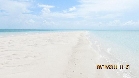 Exuma Cays Adventures-大埃克苏马必去景点