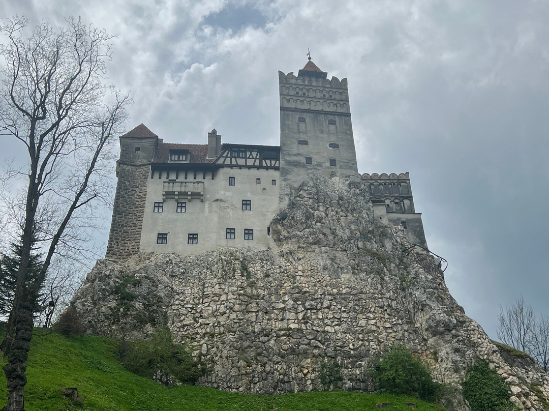 Wise Transylvania Tours景点图片