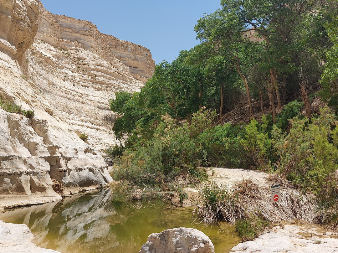 Avdat National Park景点图片