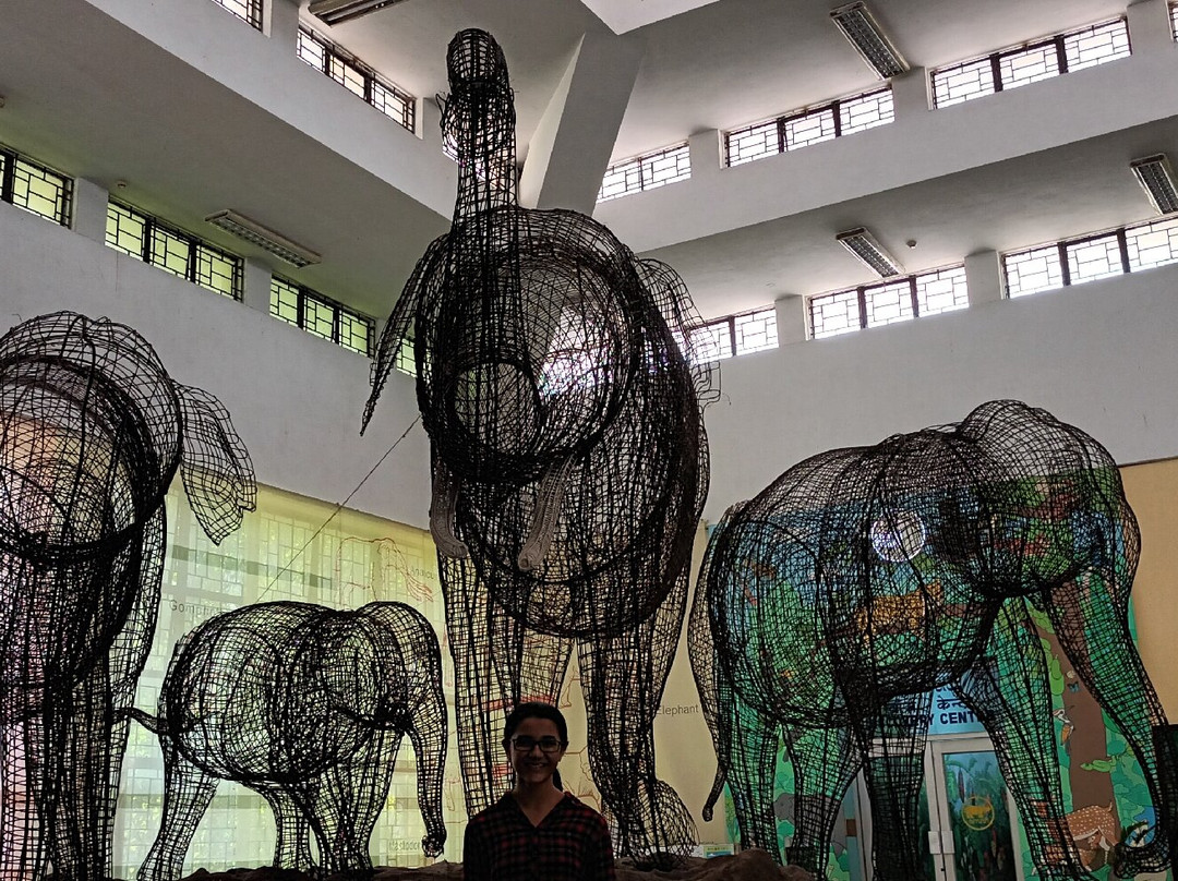 Regional Museum of Natural History-迈索尔必去景点