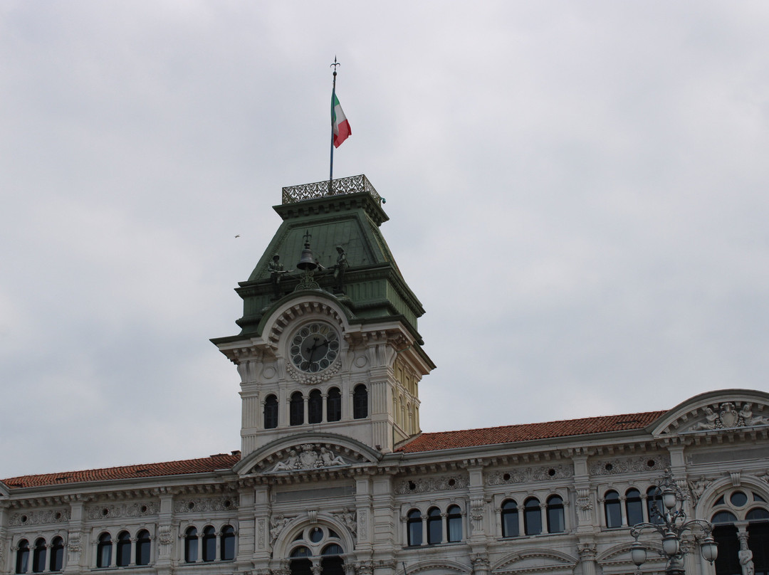 Palazzo del Municipio景点图片