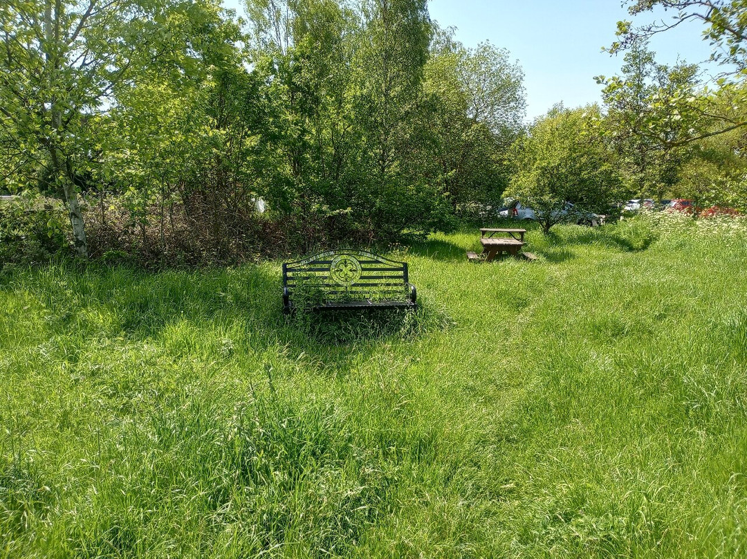Walton Colliery Nature Park景点图片
