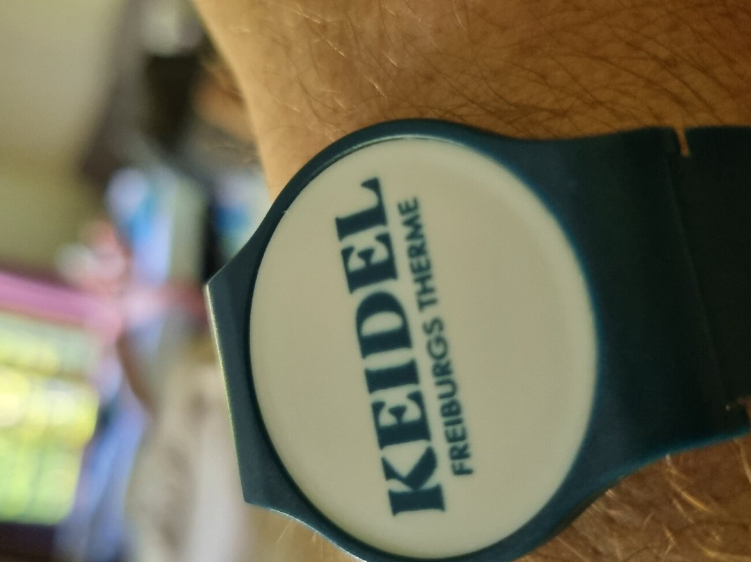 Dorint Thermenhotel Freiburg主图