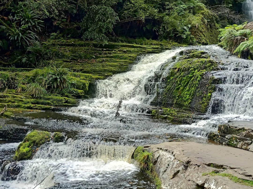 McLean Falls Walk景点图片