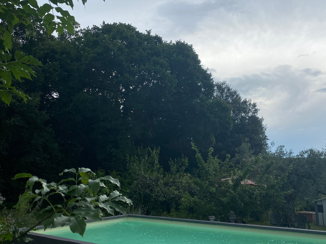 Il Pomario di Montepiglio主图