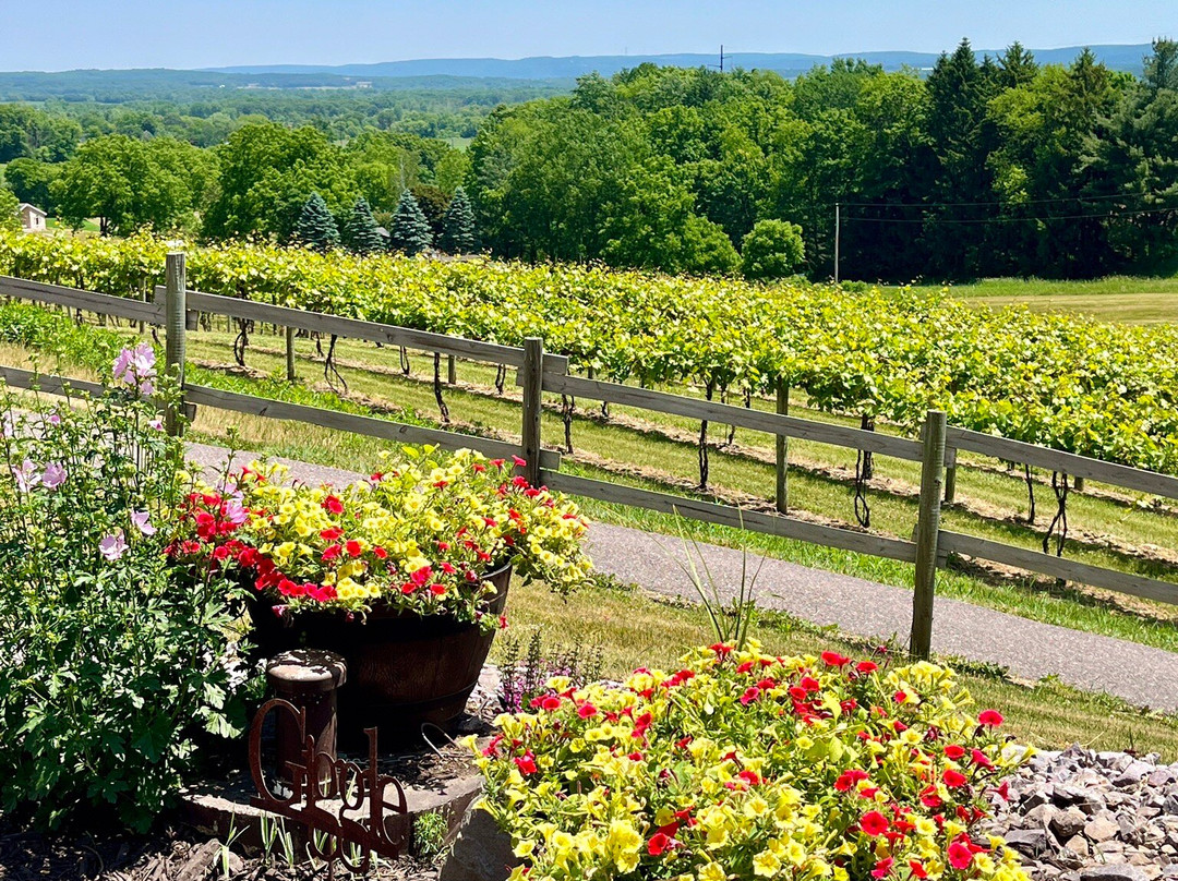 Baraboo Bluff Winery景点图片