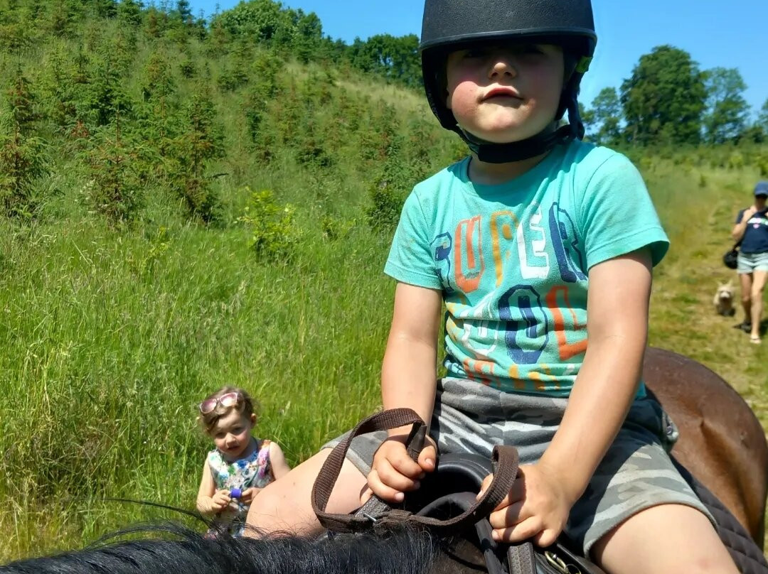 Hollywood Horse and Pony Trekking-Wicklow必去景点