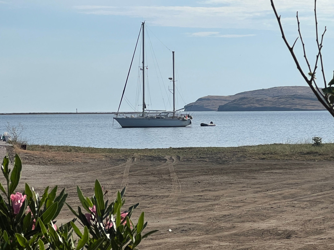 Diapori Beach-Tsimandria必去景点