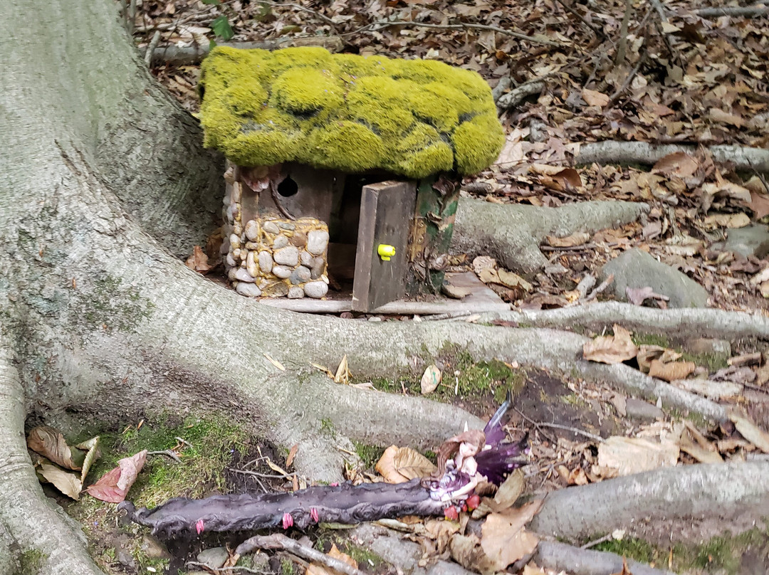 South Mountain Fairy Trail景点图片