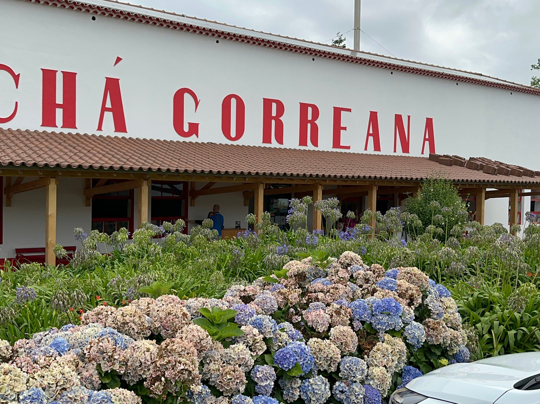 ANC Azores Holidays-蓬塔德尔加达必去景点