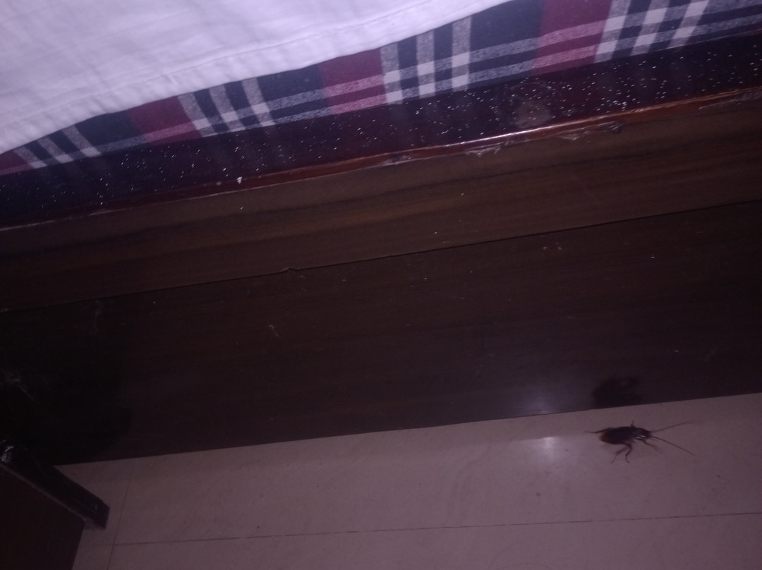 OYO 17109 Hotel Vipul Palace主图