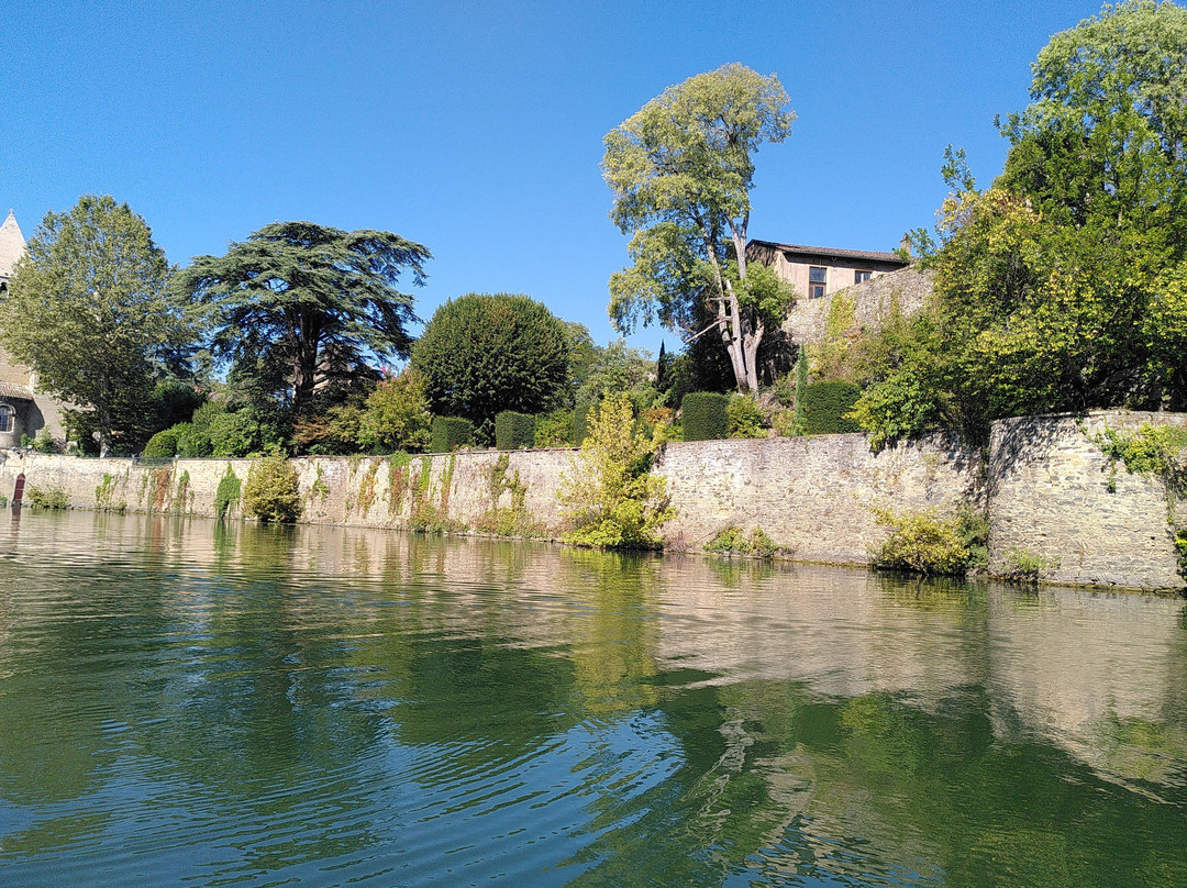 Cap Confluent Location De Bateaux à Lyon-里昂必去景点