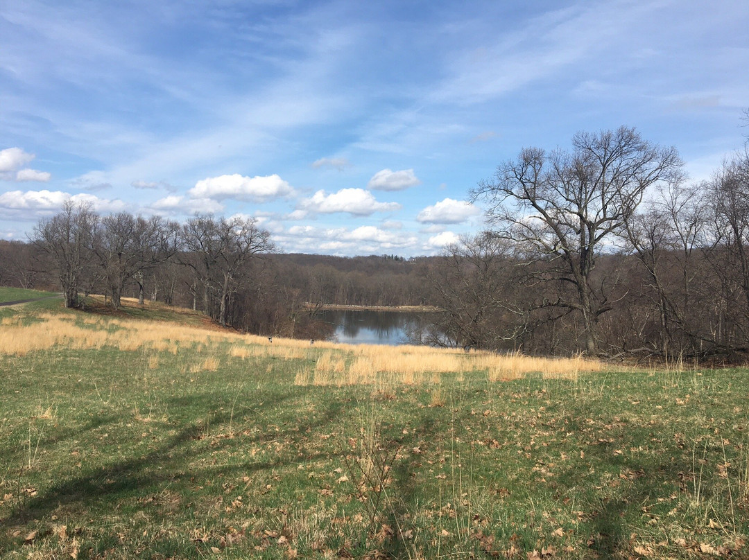 Rockefeller State Park Preserve景点图片