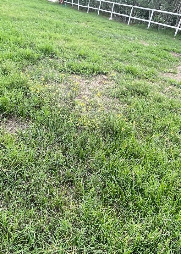 La Escondida Singular's Hotels & Restaurants主图