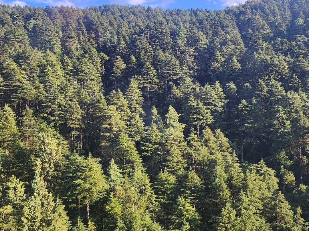 Skyview Patnitop by Empyrean景点图片