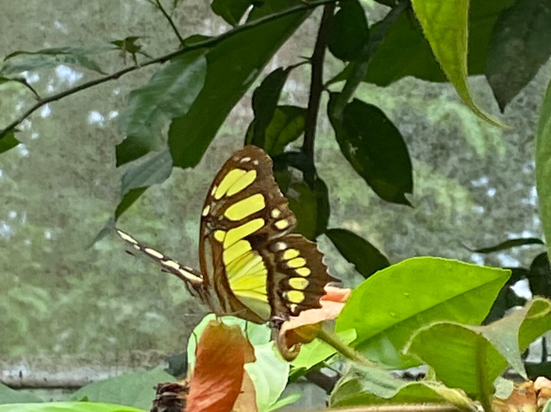 Expiatours Costa Rica-El Castillo必去景点