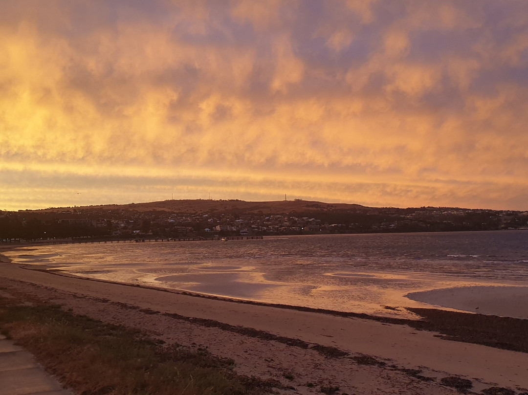 Best Western Port Lincoln主图