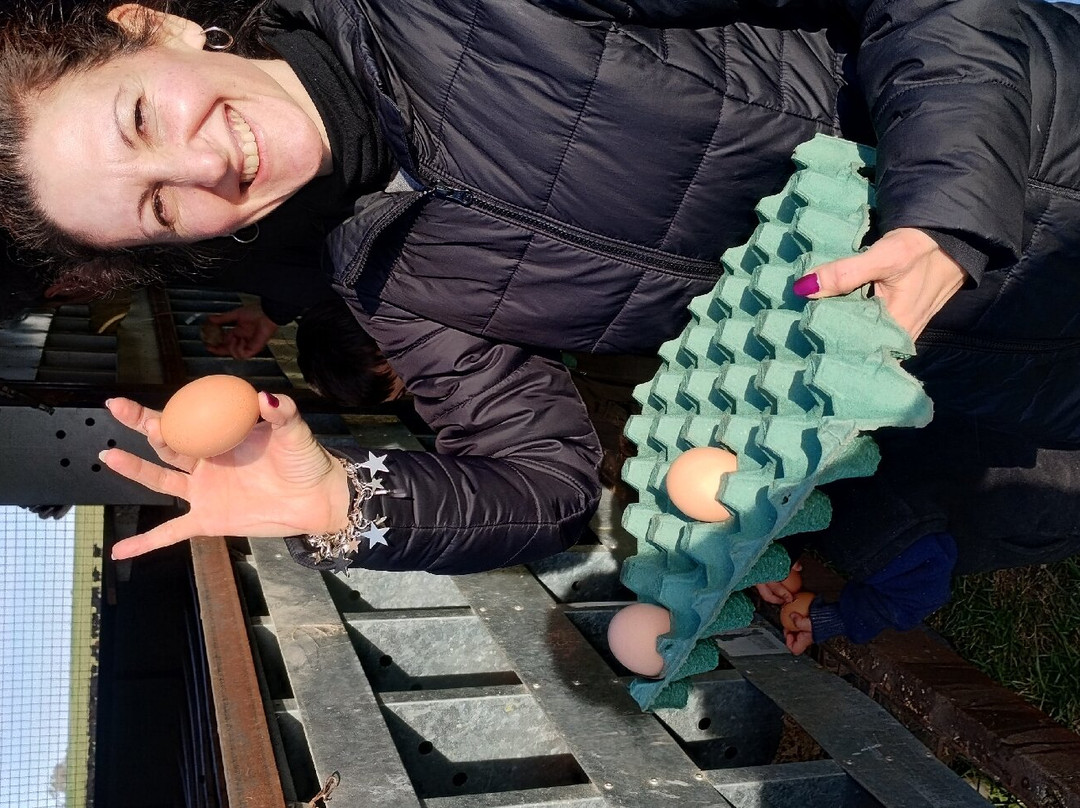 Estancia Arroyo de Luna主图