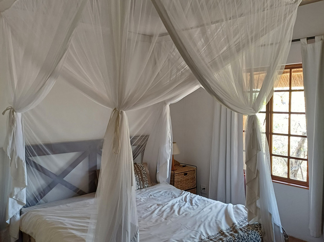 Casart Game Lodge主图