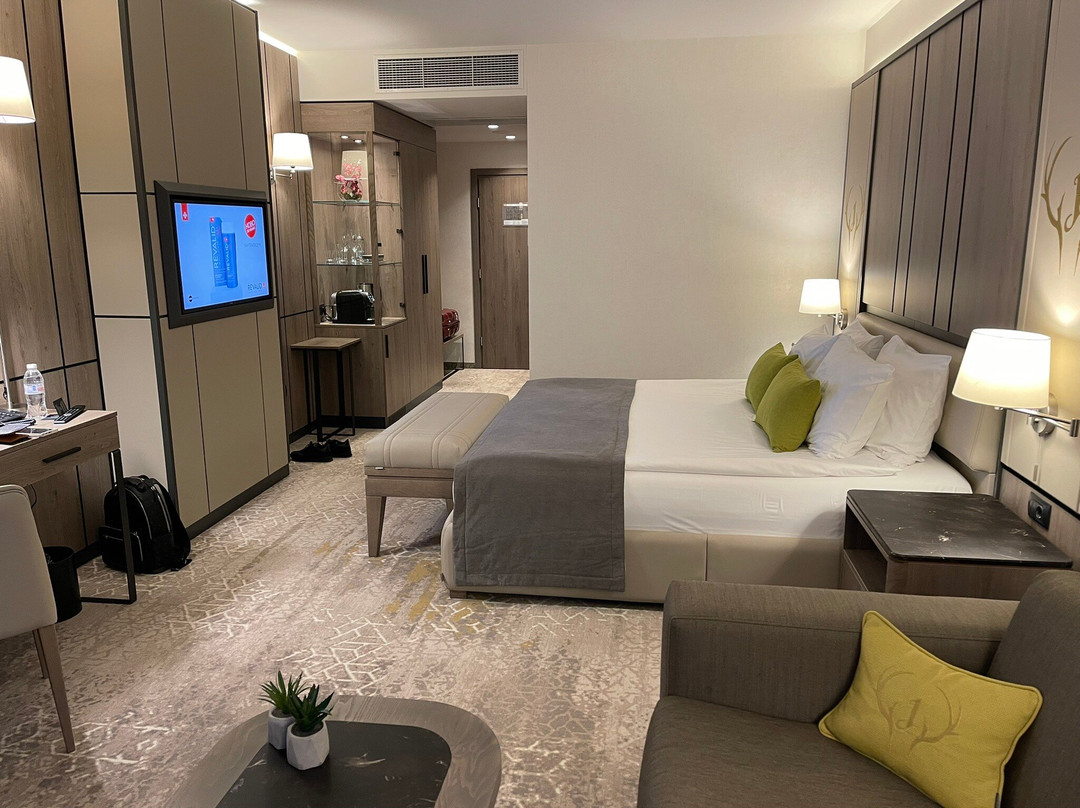 Hotel Jägerhof主图