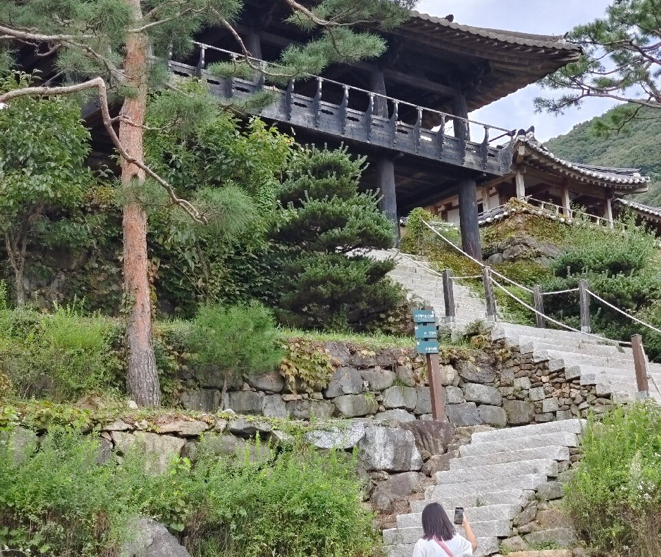 Yongin Daejanggeum Park-龙仁市必去景点