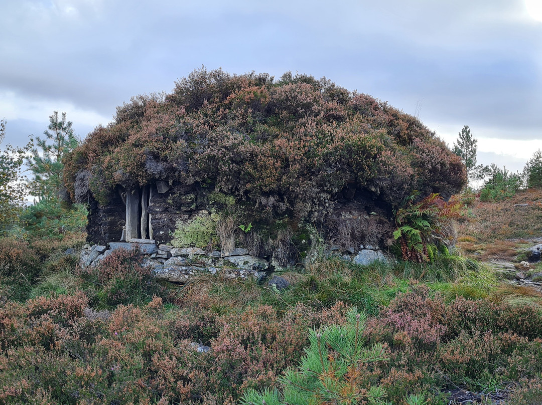 Balmridge House主图