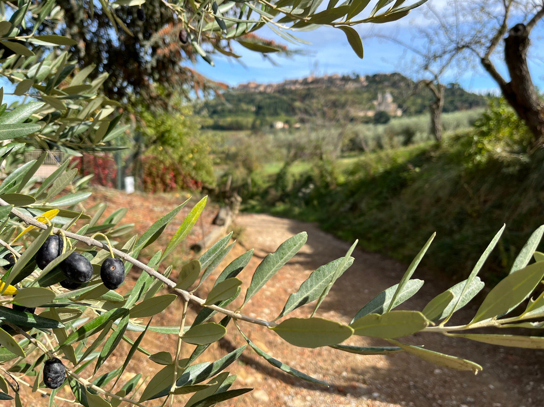 Girosole Italy Walking Tours景点图片