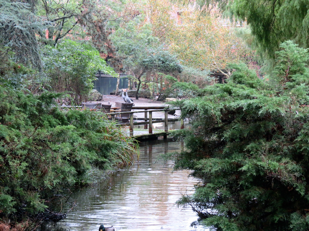 Vogelpark Avifauna-Alphen aan den Rijn必去景点