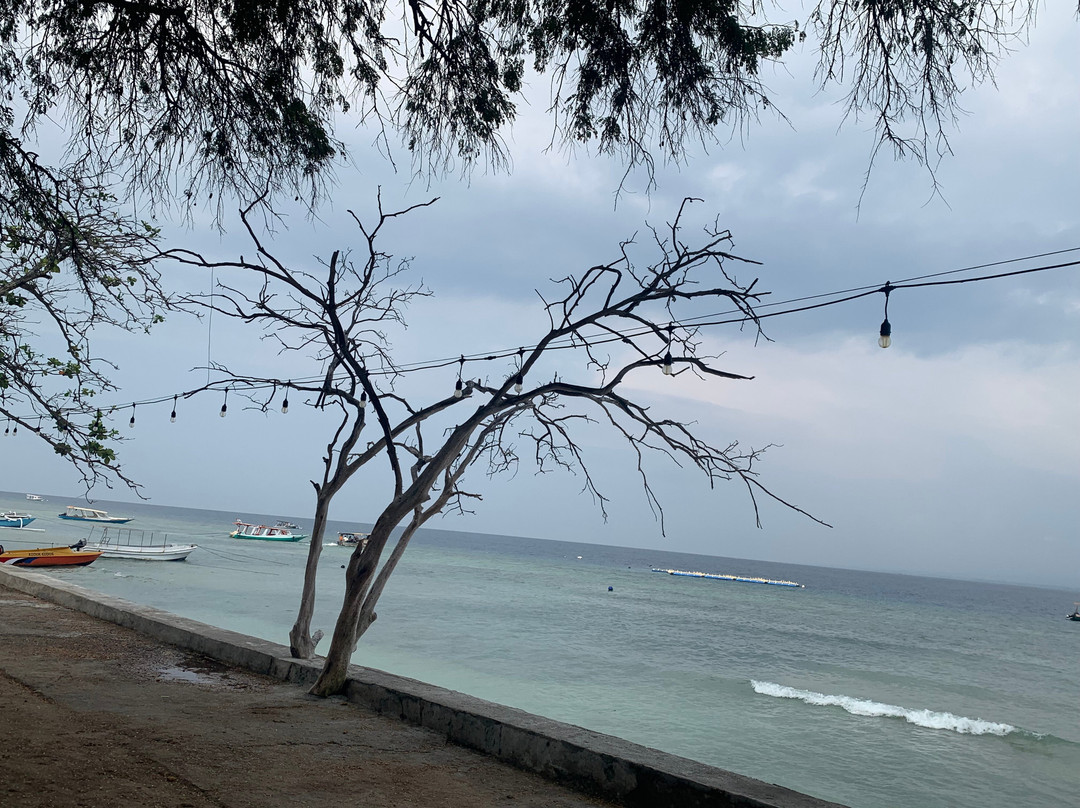 Biba Beach Village主图