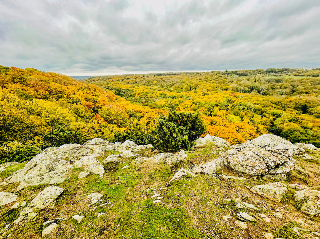 Stenshuvud Nationalpark-Kivik必去景点