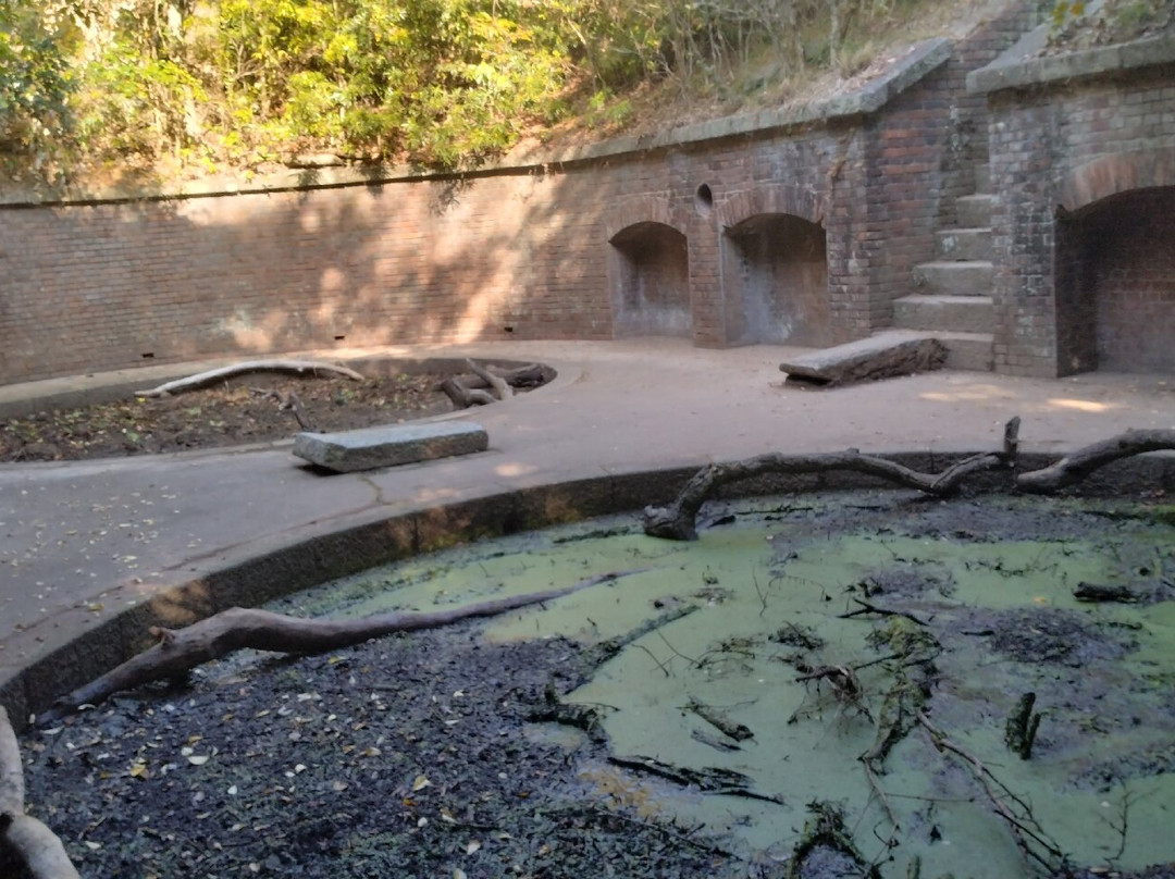 Third Battery Ruins-和歌山市必去景点