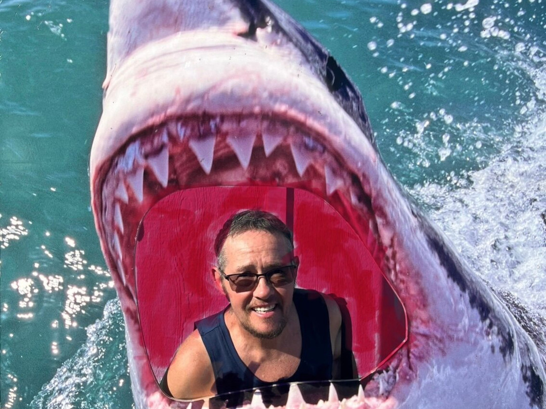 北岸鲨鱼历险记-哈雷瓦必去景点