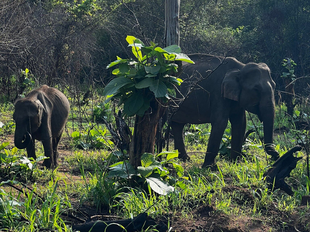 Sri Lanka Round Tour-瓦都瓦必去景点