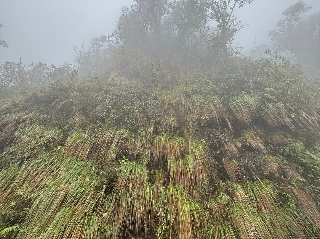 One Death Road-拉巴斯必去景点