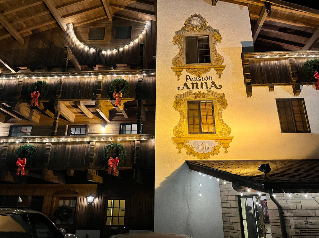 安娜膳食公寓酒店主图