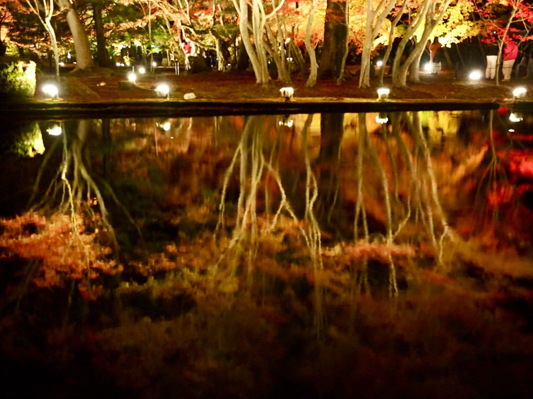 Sogi Park-土岐市必去景点