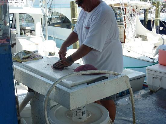 Reef Runner-伊斯拉摩拉达必去景点