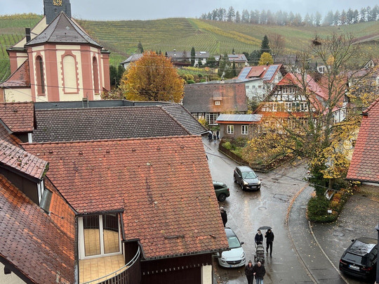 Hotel Ritter Durbach主图