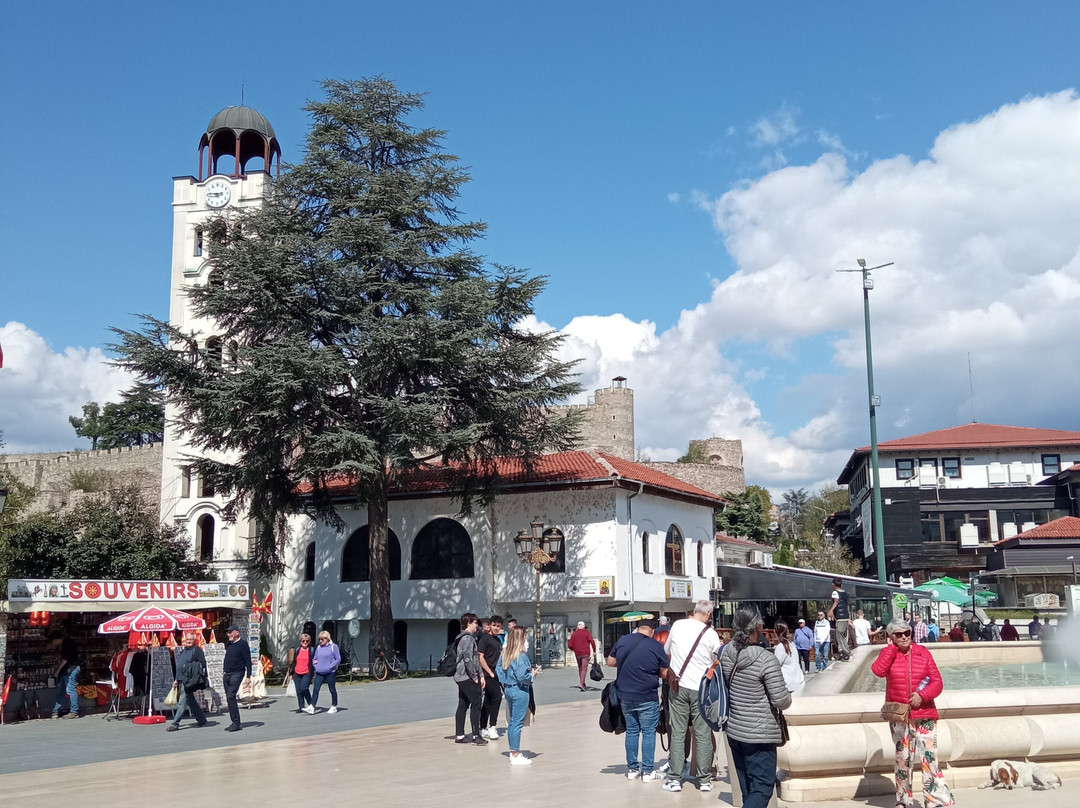 Church of Saint Demetrius-斯科普里必去景点