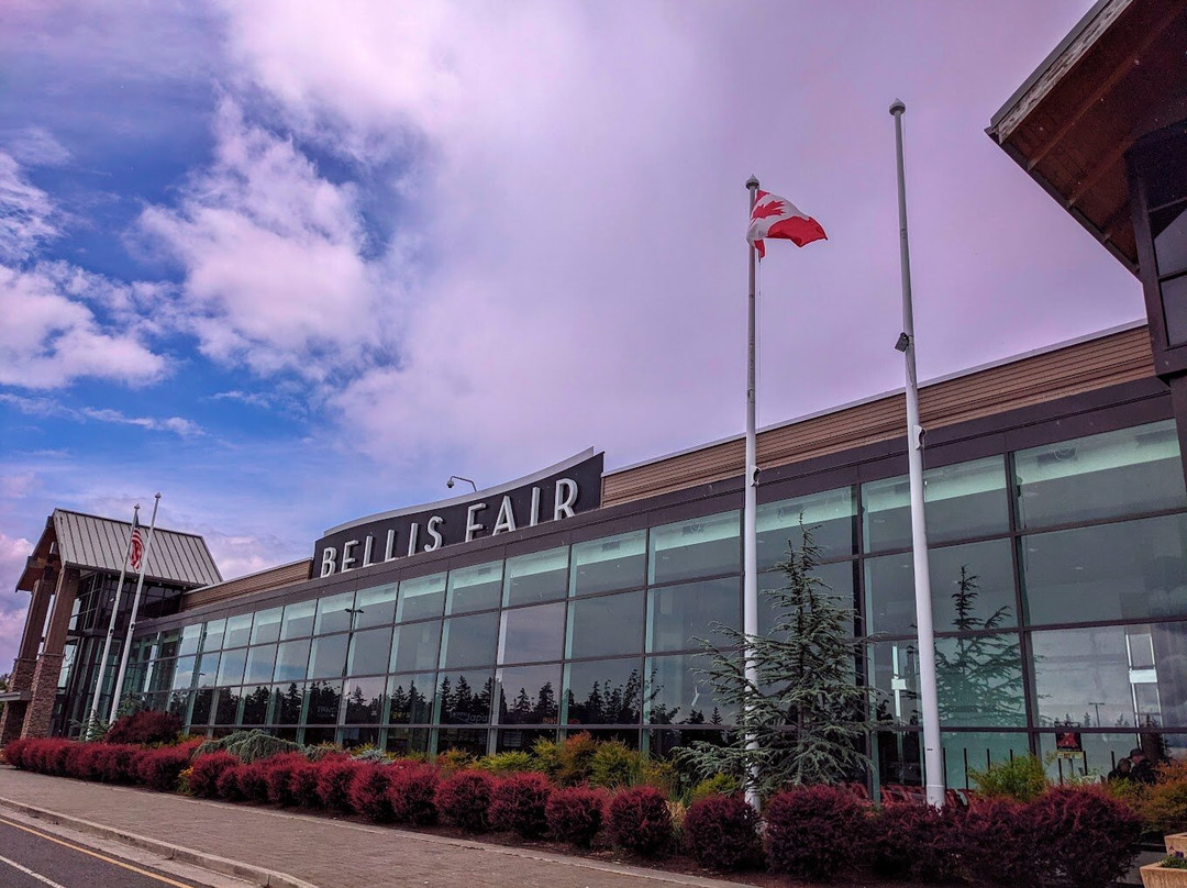 Bellis Fair景点图片