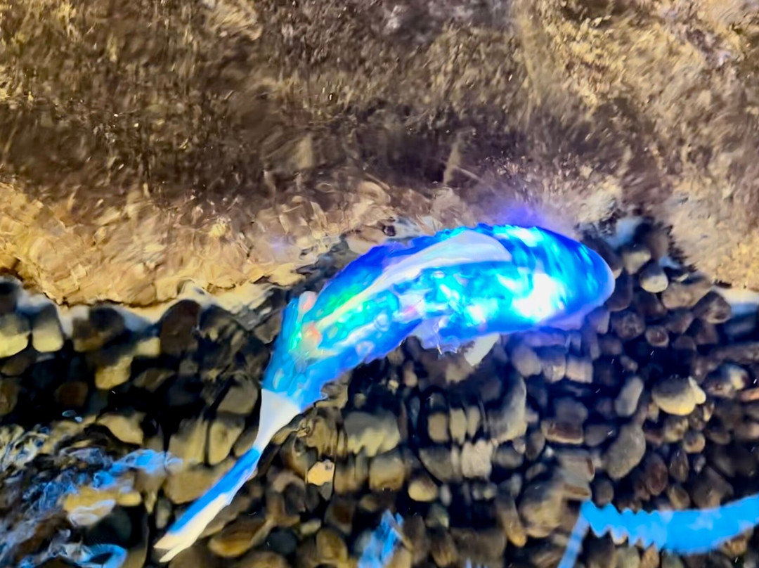 Gwangmyeong Cave-光明市必去景点