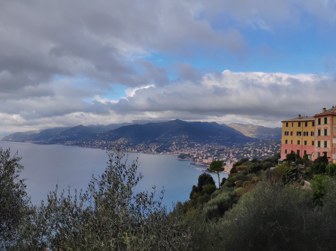 Sentiero san Rocco-Batterie-san Fruttuoso景点图片
