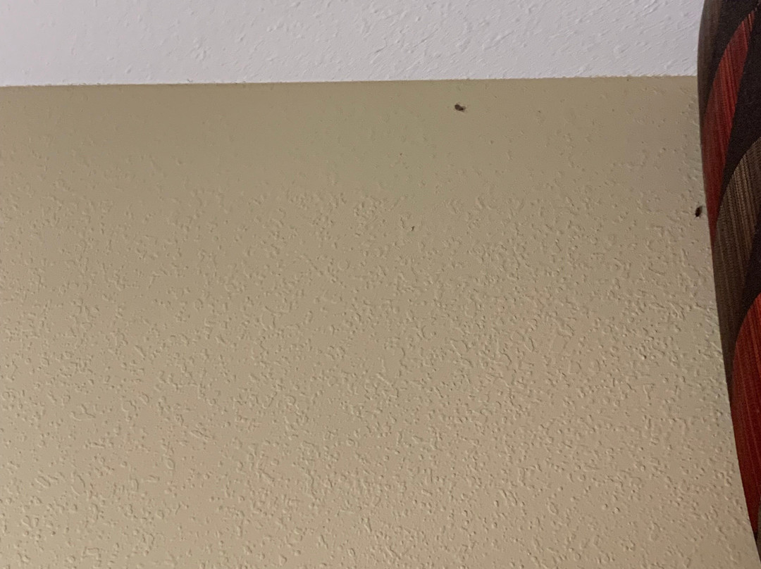 Hampton Inn Ottumwa主图