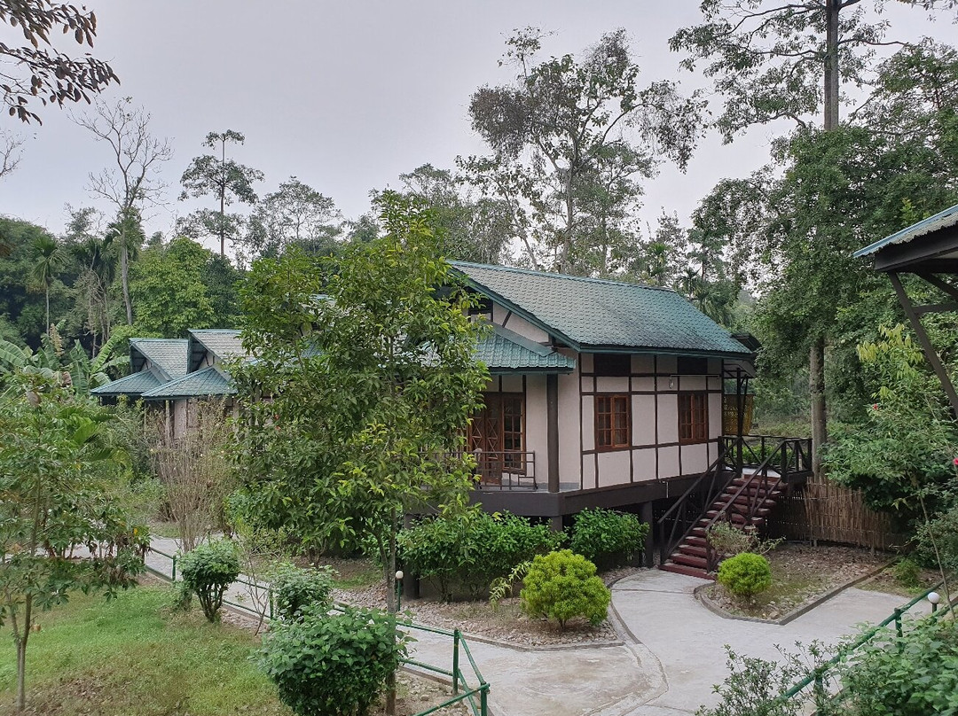 Infinity Resorts Kaziranga主图