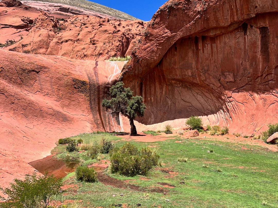 Inca Cueva景点图片