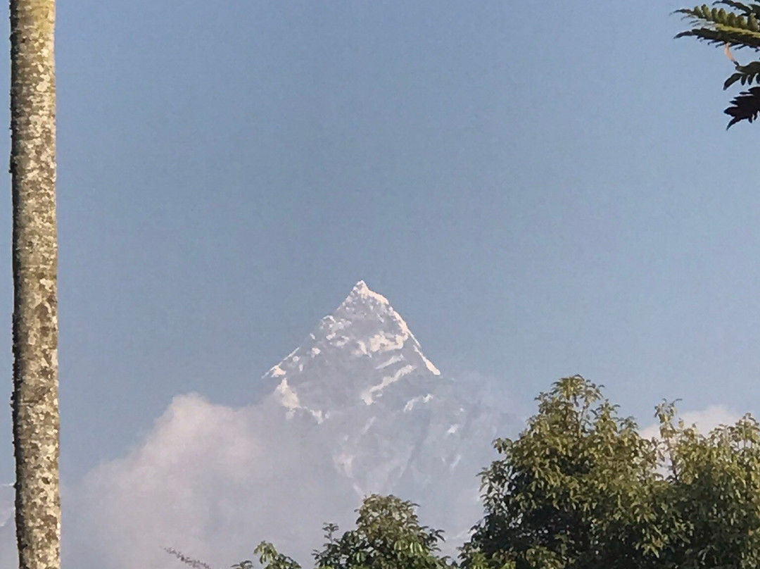 Pokhara Flight Centre Tours & Travels景点图片
